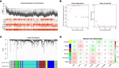 An Integrated Analysis of Prognostic Signature and Immune Microenvironment in Tongue Squamous Cell Carcinoma